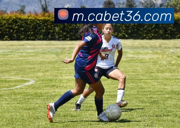 体育赛事直播